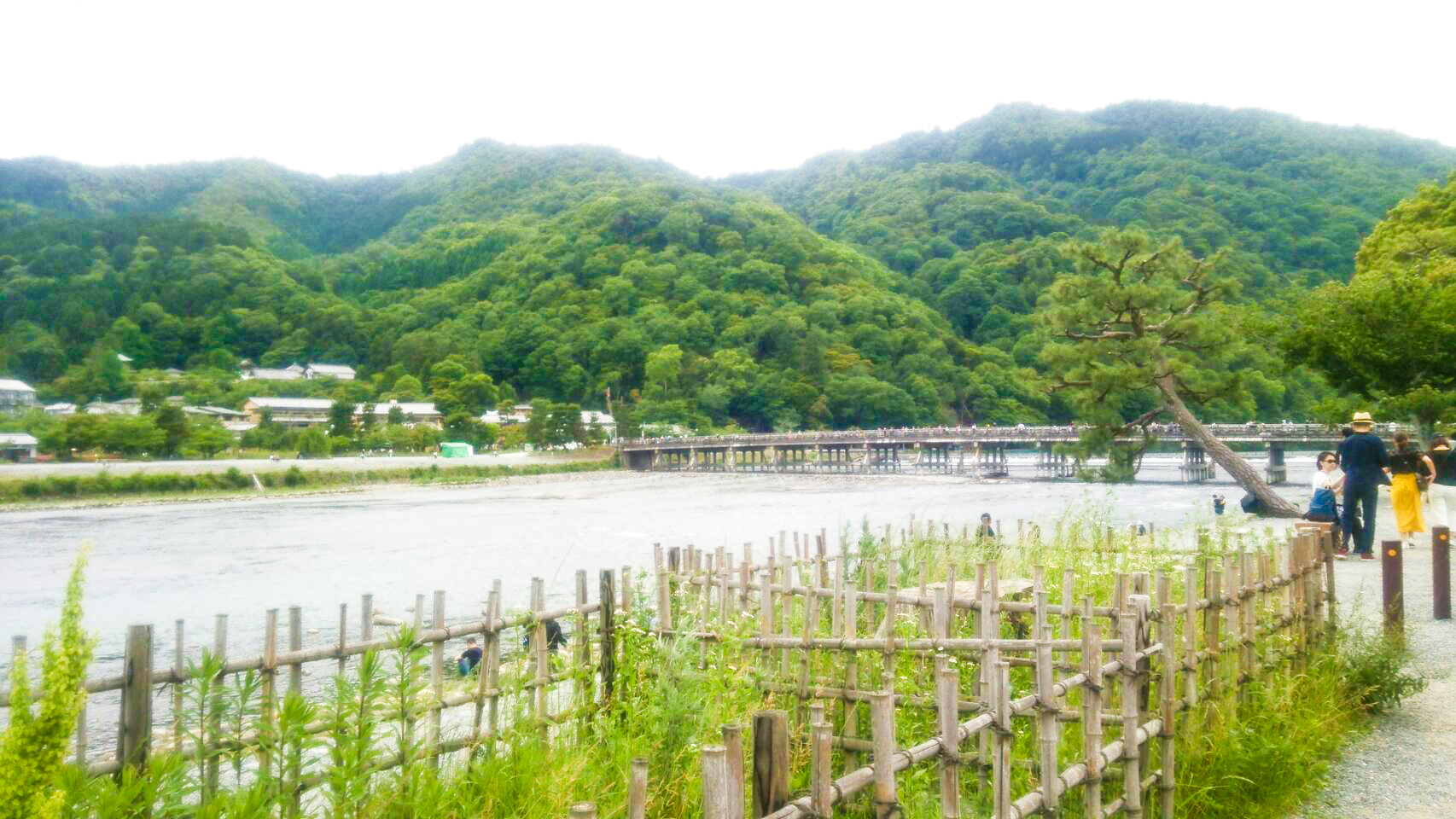 嵐山 観光 アジョシ 京都 韓国料理